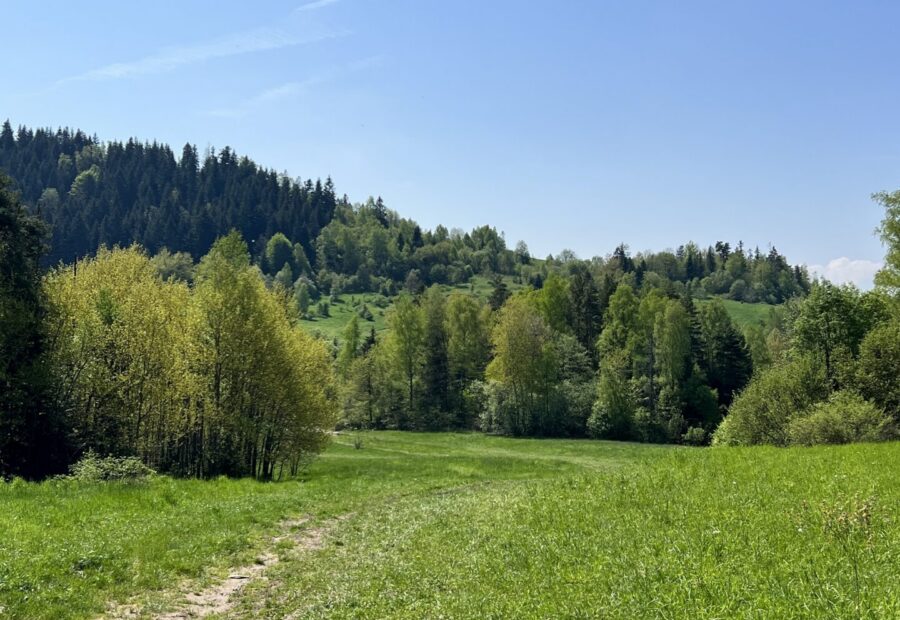 Rabka pełna przygód – 4 dni w górach!