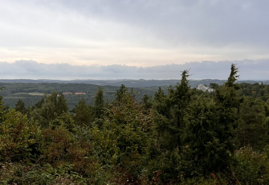 Jurajska Przygoda – zamki, jaskinie i integracja! 2 dni na Jurze